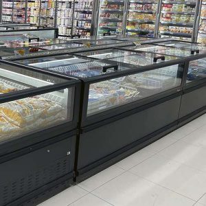 Expositor profissional de congelados