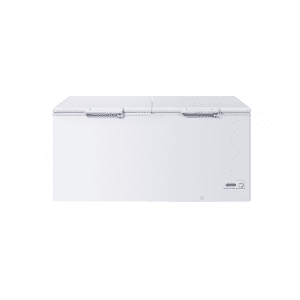 Arca congeladora tampa opaca BD-519