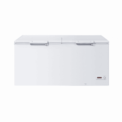 Arca congeladora tampa opaca BD-519