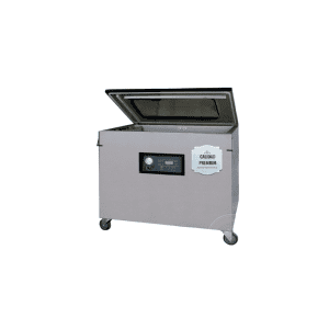 Máquina embalar vácuo DZ-1100/2L