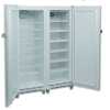 Armário para Snacks Refrigerados e Congelados 700 litros 2 Portas Lacado Branco 1220 x650 x1820h mm