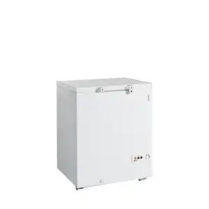 Arca Congeladora  FR205 SL