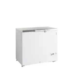 Arca Congeladora  FR305S SL