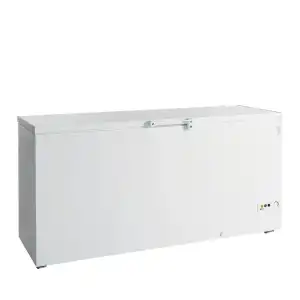 Arca Congeladora  FR605 SL